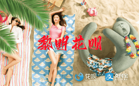 不敢苟同花呗